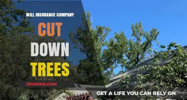 Will Insurance Companies Cut Down Trees? Understanding Policy Coverage and Liability