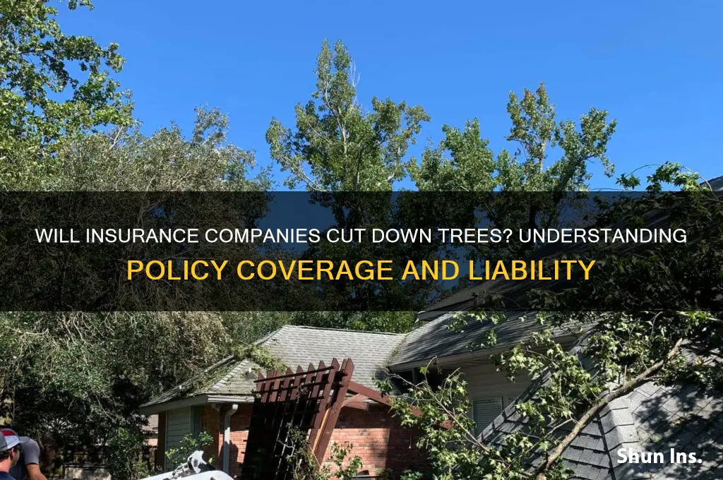 will insurance company cut down trees
