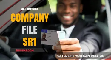 Will Your Insurance Company File an SR-1 Form? What to Know