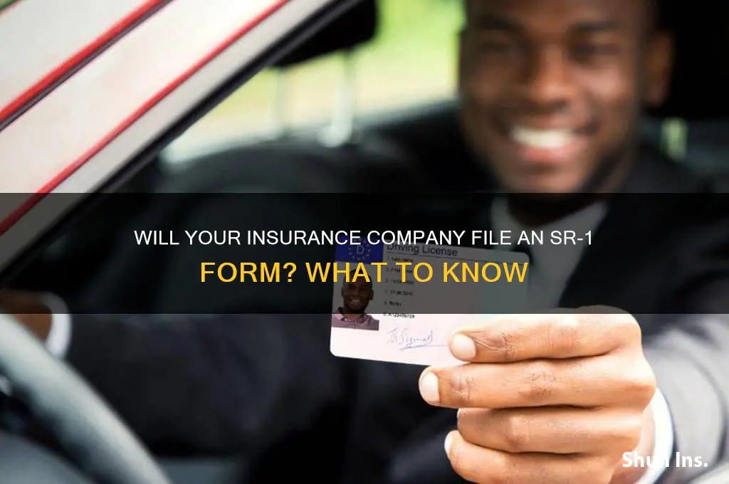 will insurance company file sr1