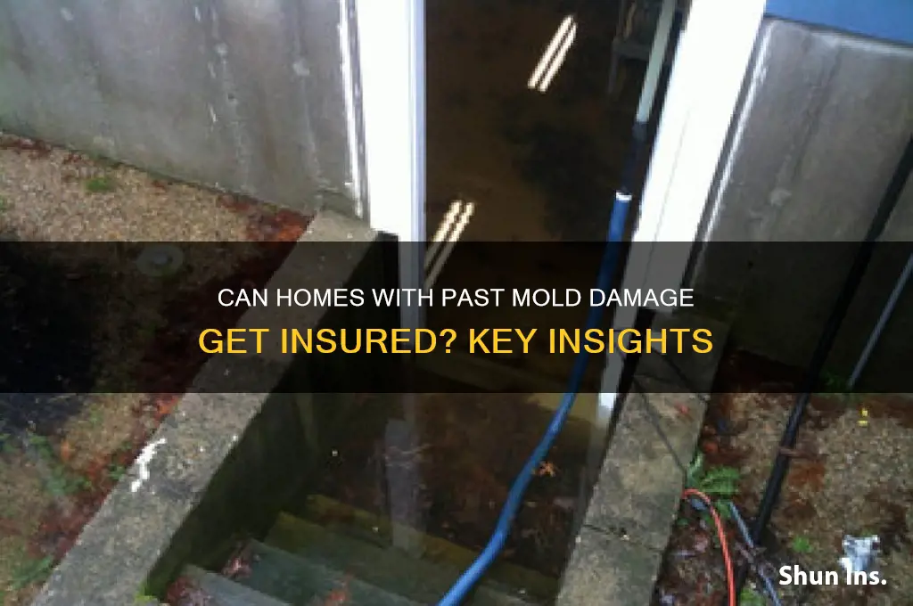 will insurance company insure home that has previous mold damage