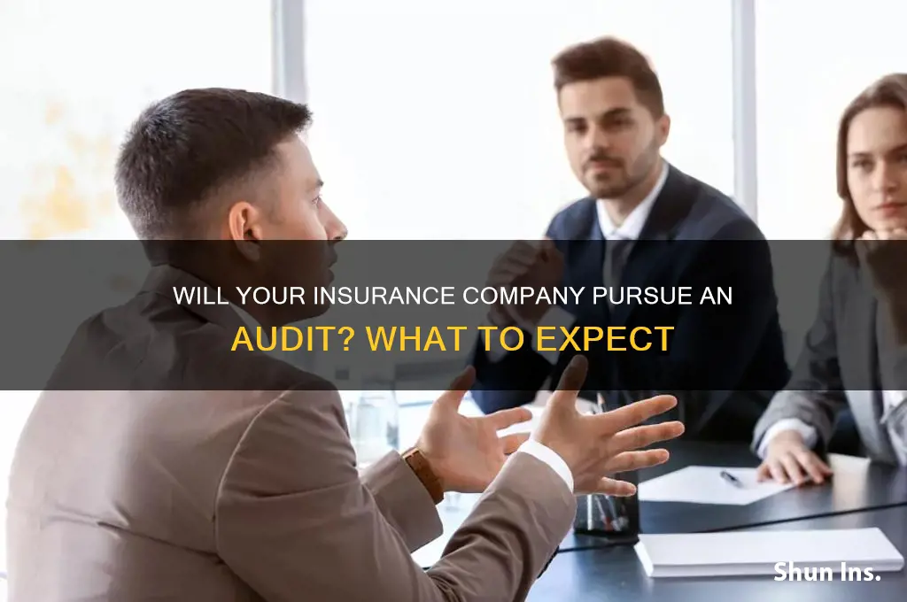 will insurance company pursue audit