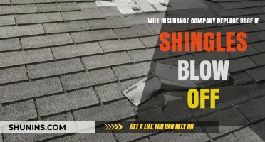 Will Insurance Cover Roof Replacement for Blown-Off Shingles?