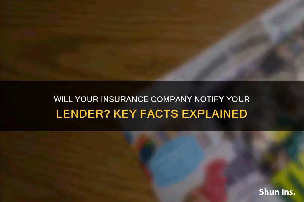 will insurance company report to lender