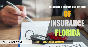 Does Your Florida Insurance Company Send DMV Proof of Insurance?