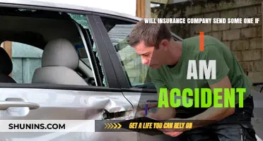 Will Your Insurance Company Send an Adjuster After an Accident?