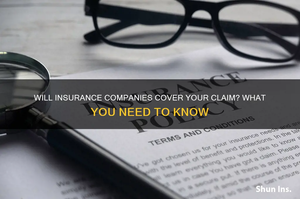 will insurance company