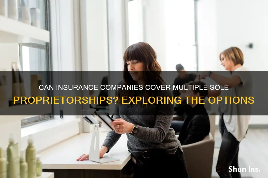 will insurane companies insure more than 1 sole propertiship