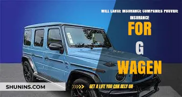 Will Major Insurers Cover the Iconic G-Wagen? Exploring Options