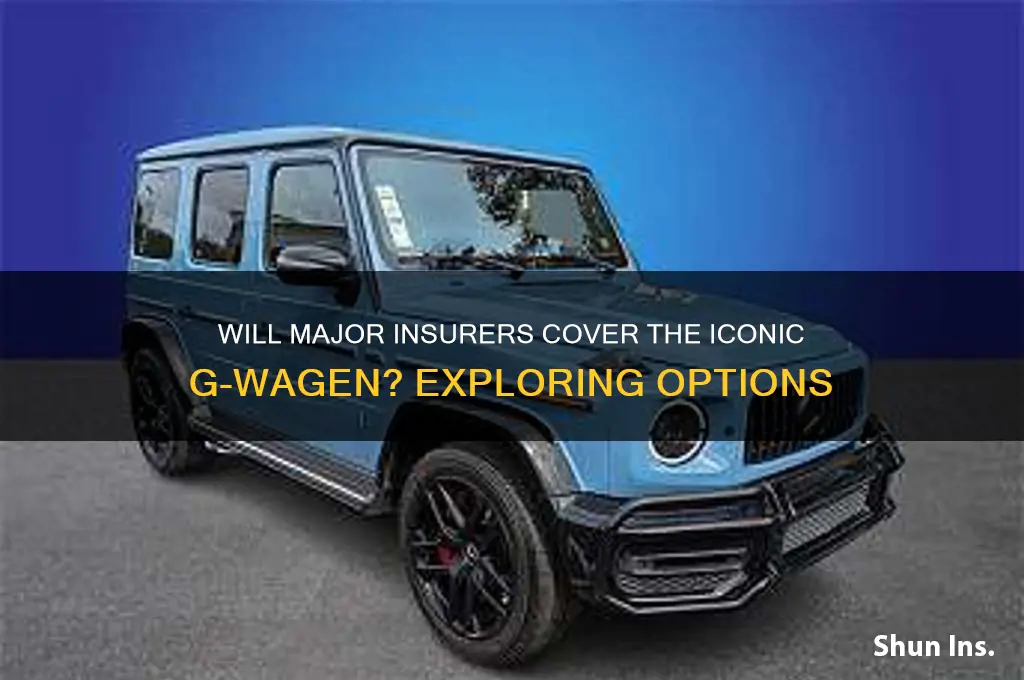 will large insurance companies provide insurance for g wagen