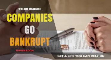 Will Life Insurance Companies Face Bankruptcy? A Financial Stability Analysis