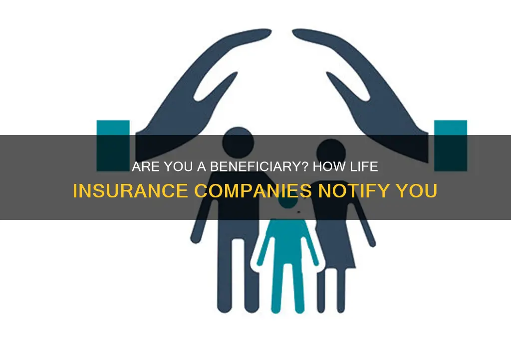 will life insurance companies tell you if you