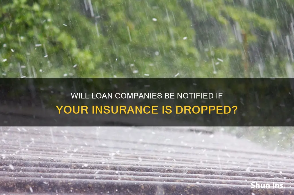 will loan company ve notified if insurance is dropped