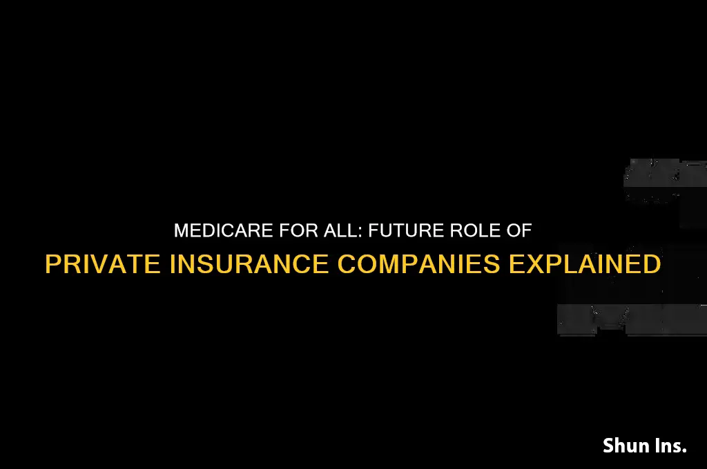 will medicare for all allow insurance companies to sell plans