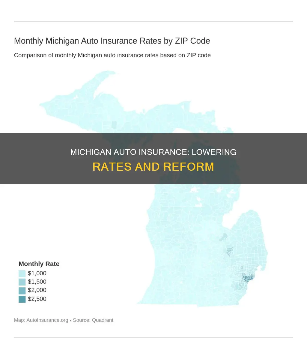 will michigan lower auto insurance