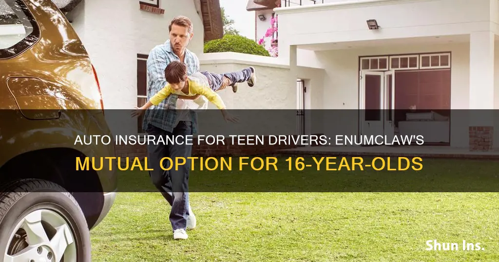 will mutual enumclaw auto insure 16 year old