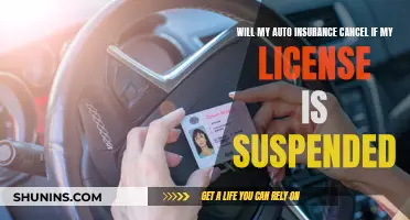 Auto Insurance and Suspended Licenses: What's the Connection?