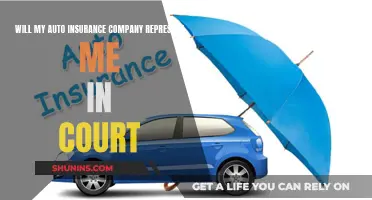 Auto Insurance: Court Representation and You