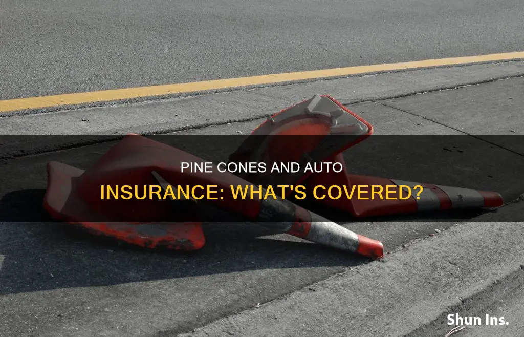 will my auto insurance cover falling pine cone