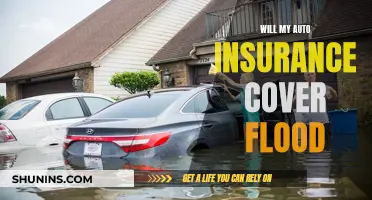 Auto Insurance and Flood Damage: What's Covered?