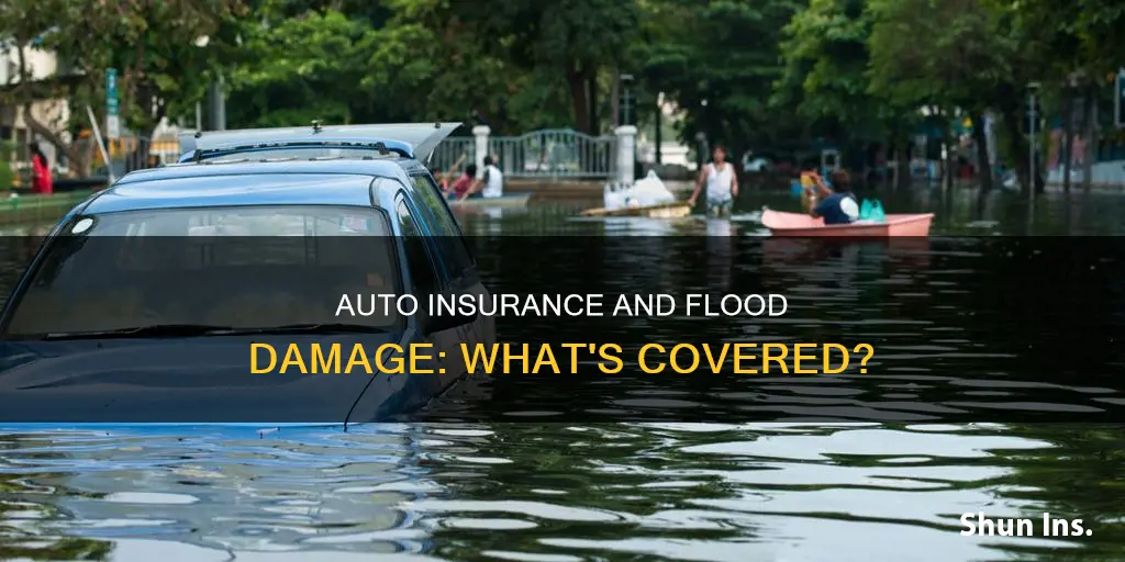 will my auto insurance cover flood