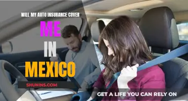 Does Your Auto Insurance Cover You in Mexico?