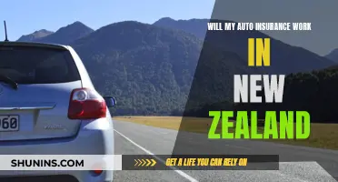 Auto Insurance in New Zealand: What You Need to Know