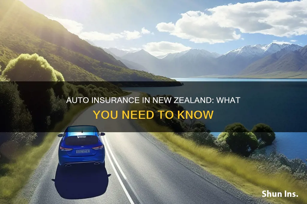 will my auto insurance work in new zealand