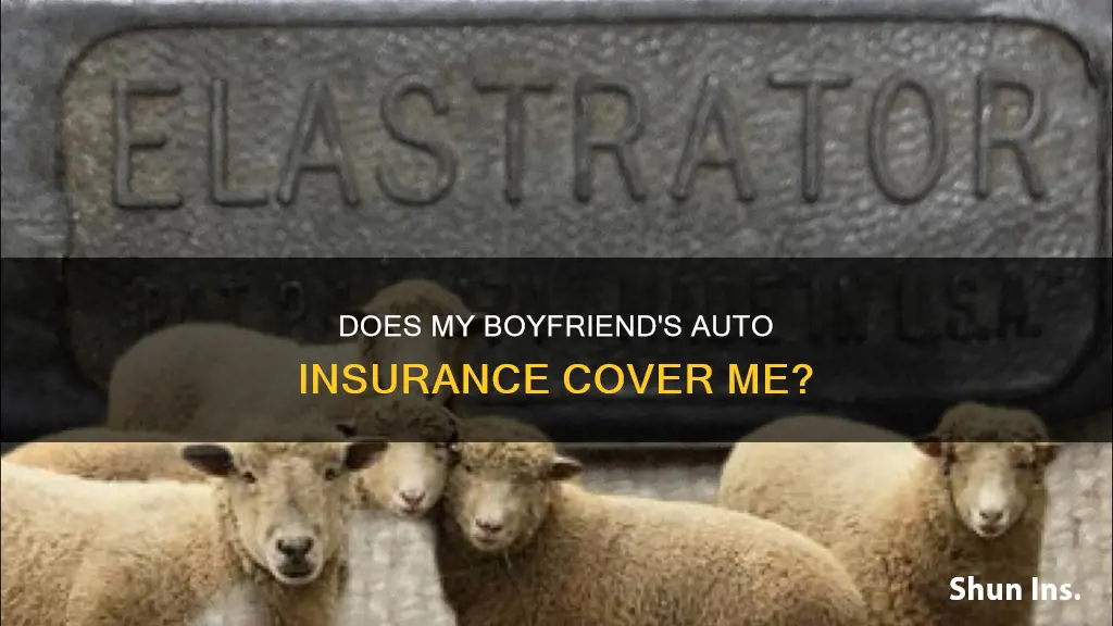 will my boyfriend auto insurance cover me