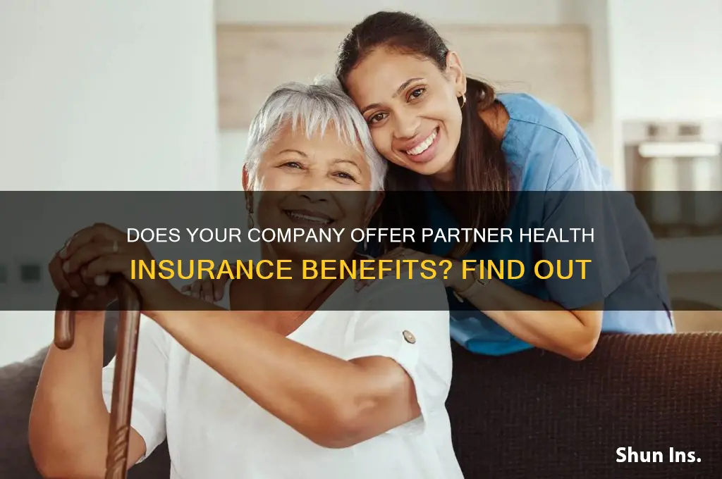 will my company provide health insurance to my partner