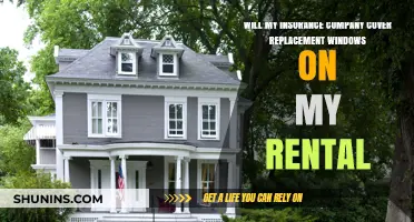 Will Rental Insurance Cover Replacement Windows? What Landlords Need to Know