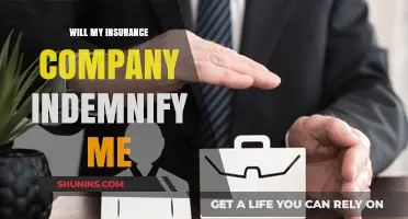 Will My Insurance Company Indemnify Me? Understanding Coverage and Claims