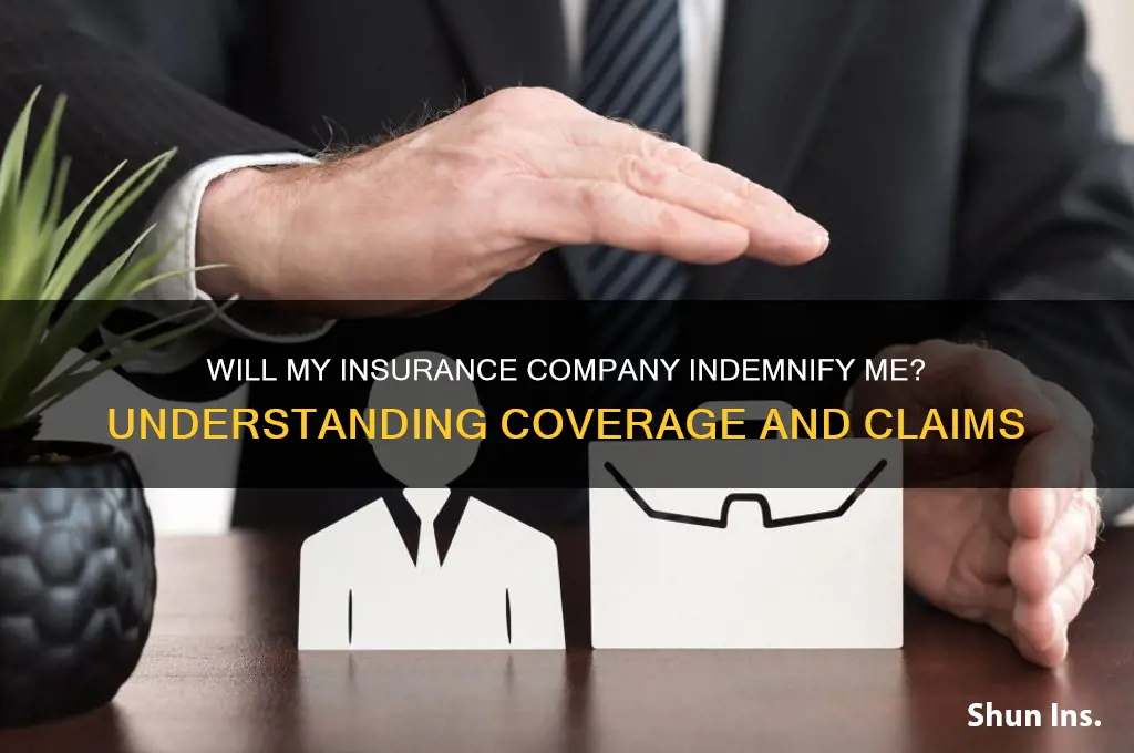will my insurance company indemnify me