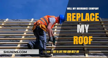 Will Insurance Cover Roof Replacement? Key Factors to Consider