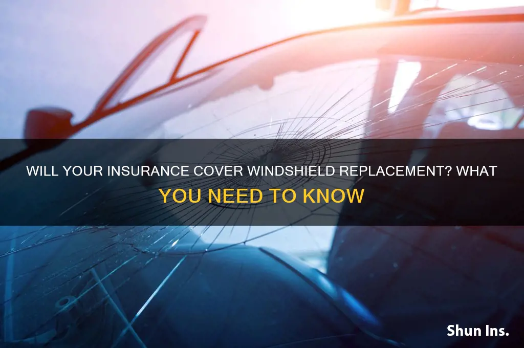 will my insurance company replace my windshield