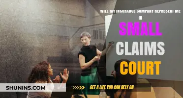 Will Your Insurance Company Represent You in Small Claims Court?