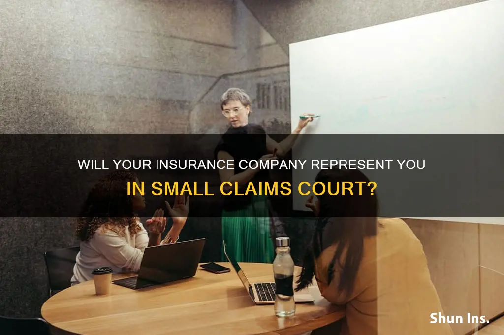will my insurance company represent me in small claims court