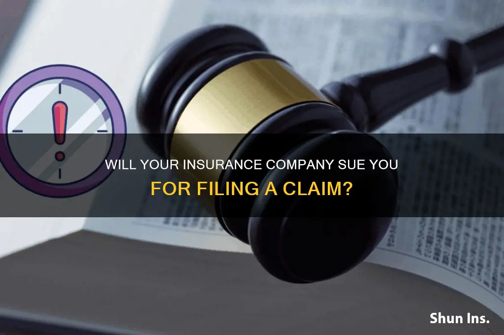 will my insurance company sue if i file a claim