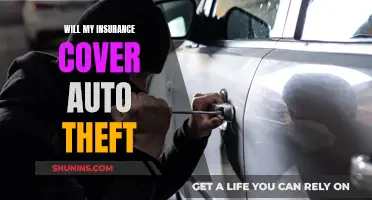 Auto Theft: Am I Covered by Insurance?