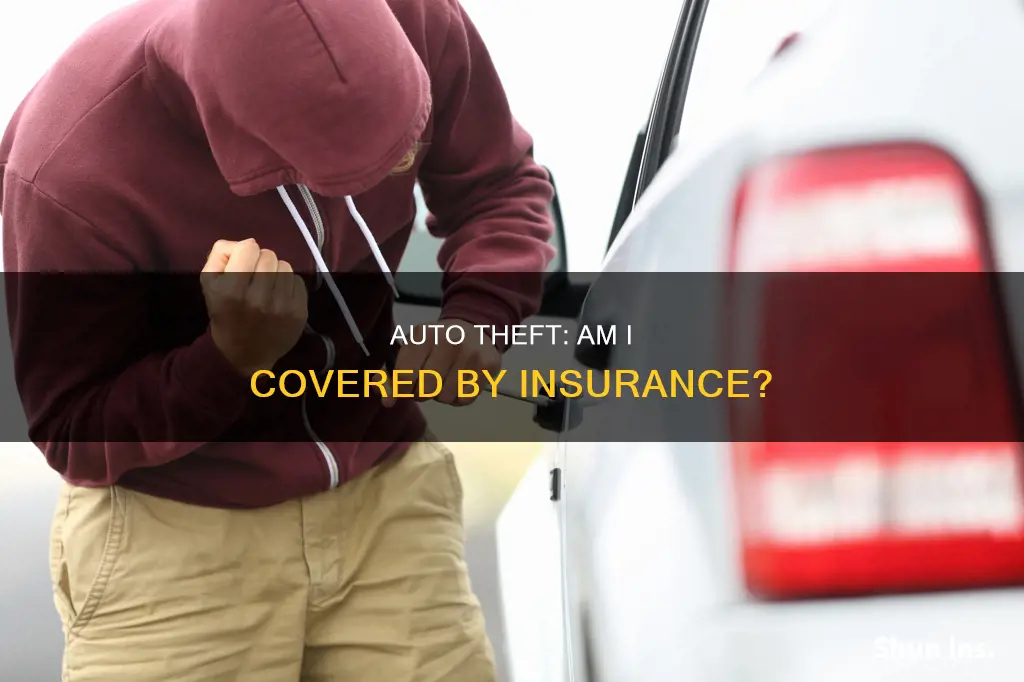 will my insurance cover auto theft