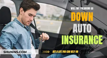 How to Lower Auto Insurance Premiums