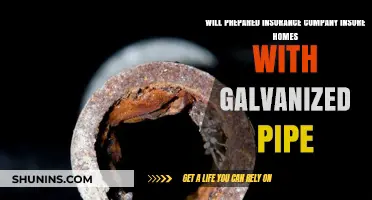 Will Insurance Companies Cover Homes with Galvanized Pipes?