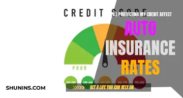 Protecting Credit Score: Impact on Auto Insurance Rates?