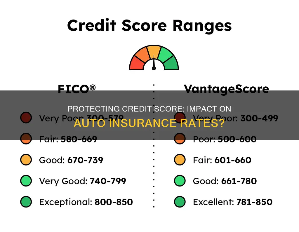 will protecting my credit affect auto insurance rates