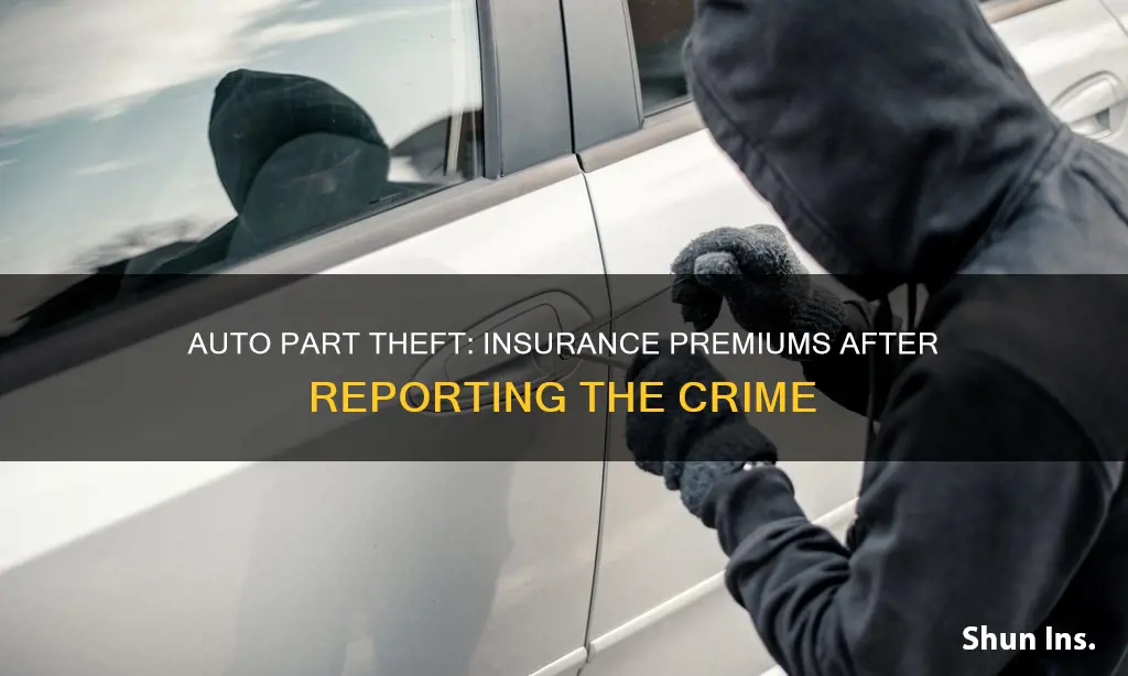 will reporting theft of auto part increase my insurance premiums