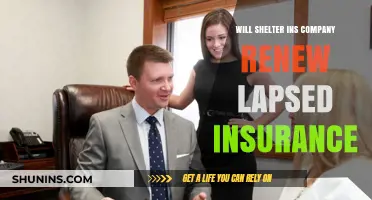 Will Shelter Insurance Renew Lapsed Policies? Key Factors to Consider