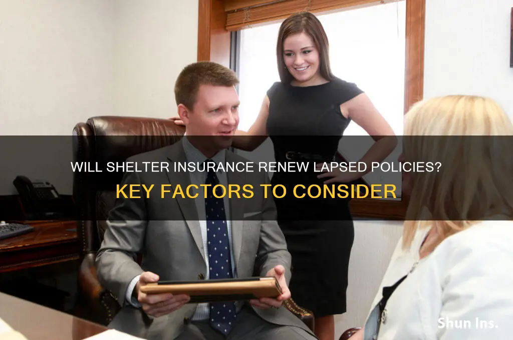 will shelter ins company renew lapsed insurance