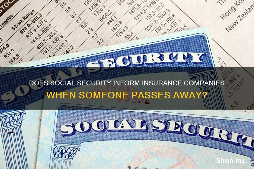will social security notify insurance companies of a death