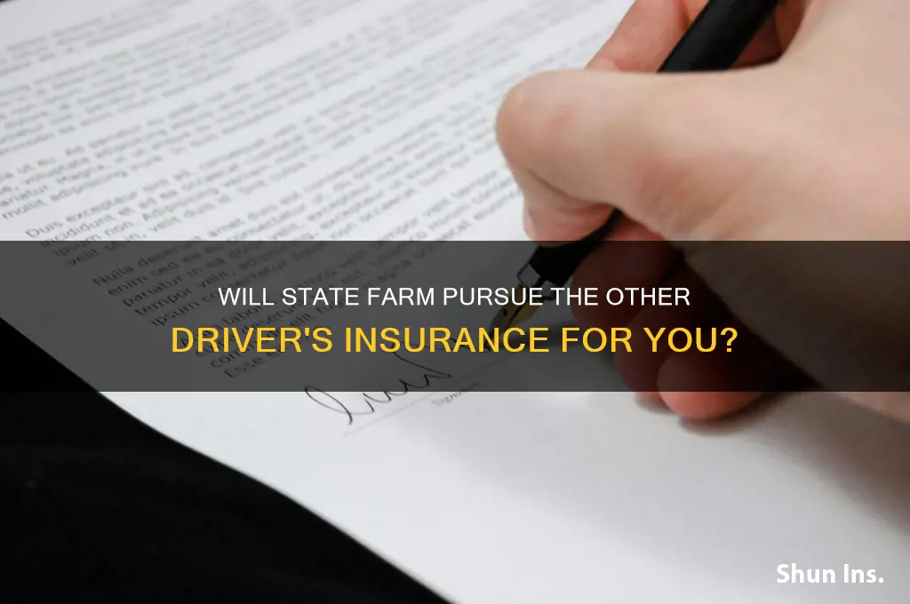 will statefarm go after other person