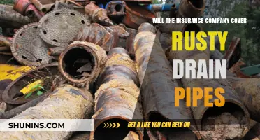 Does Homeowners Insurance Cover Rusty Drain Pipes? What You Need to Know